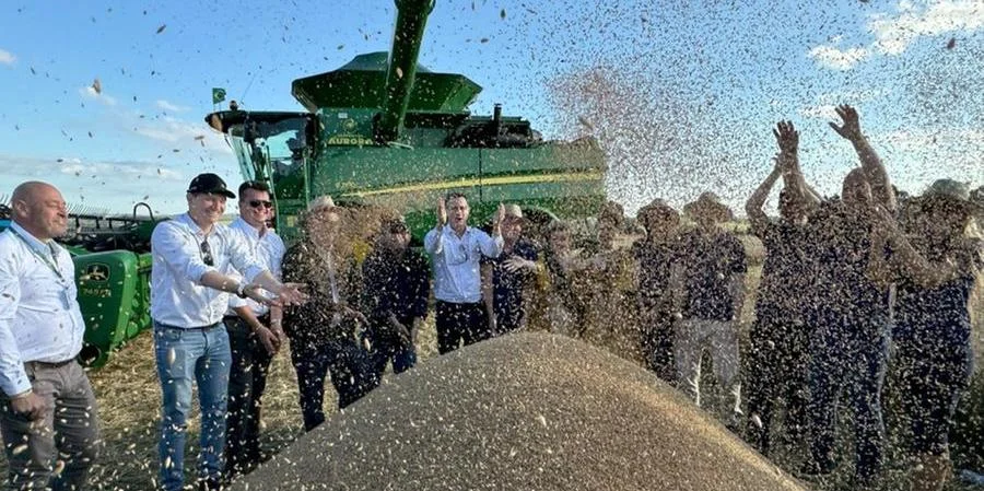 Hoje no Campo – Colheita do trigo no RS deve passar de 4 milhões de toneladas